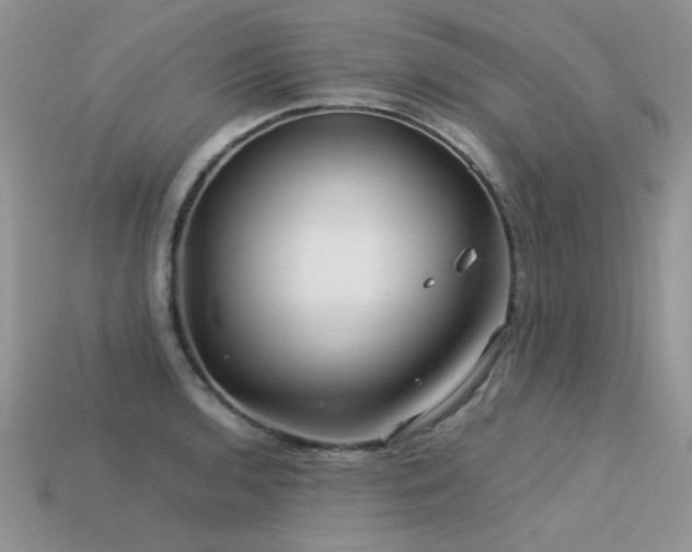 X0000113591136200909181326