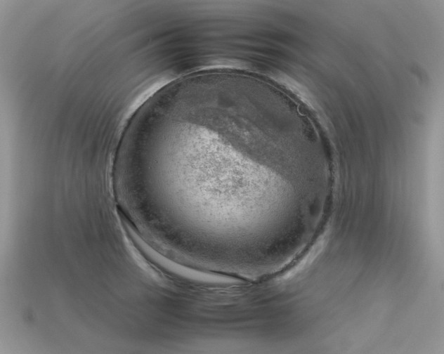 X0000113591137200909181326