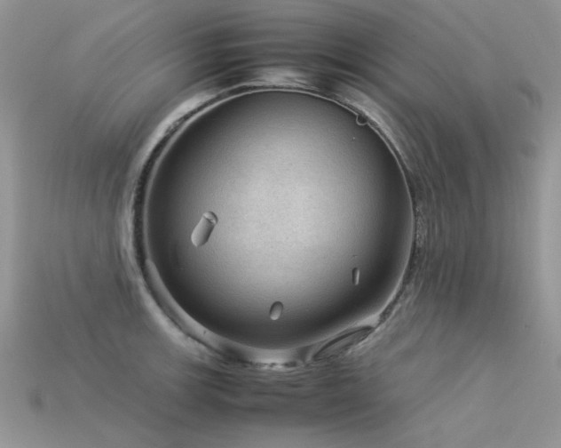 X0000113591139200909181326