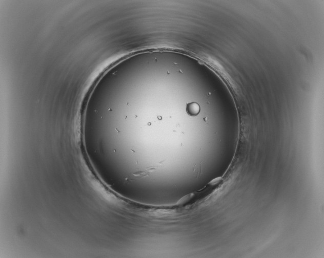 X0000113591140200909181326