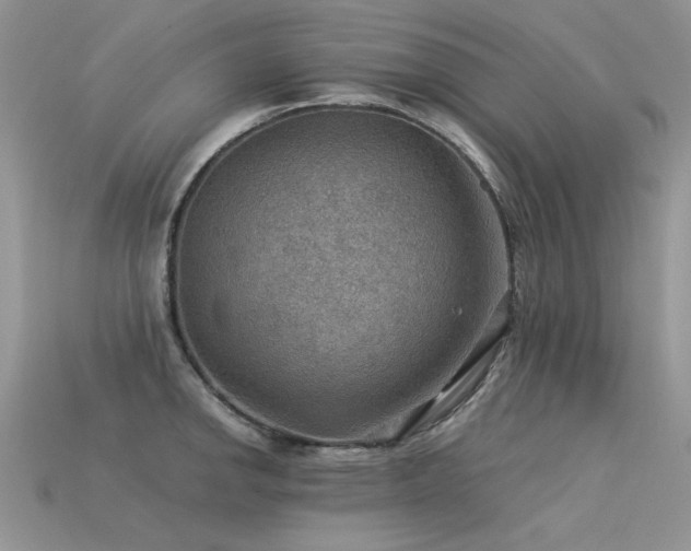 X0000113591142200909181326