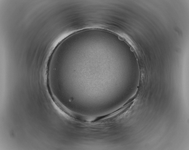 X0000113591143200909181326