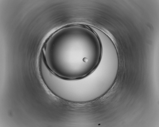 X0000113591144200909181326