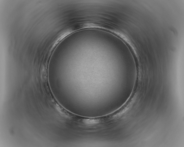 X0000113591145200909181326