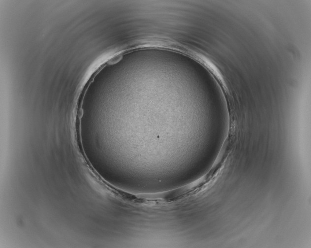 X0000113591146200909181326