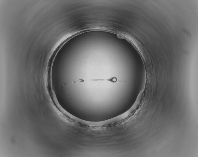 X0000113591147200909181326