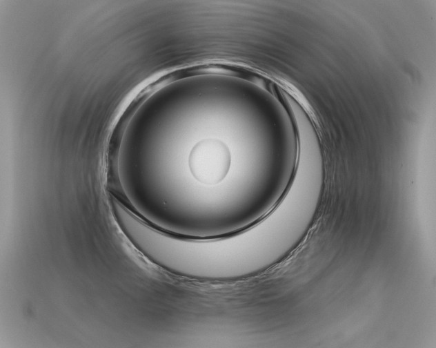 X0000113591148200909181326