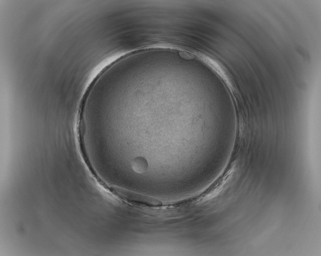 X0000113591149200909181326