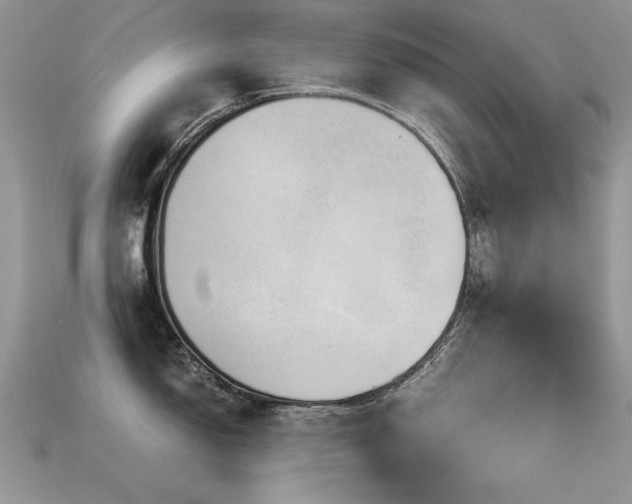 X0000113591150200909181326