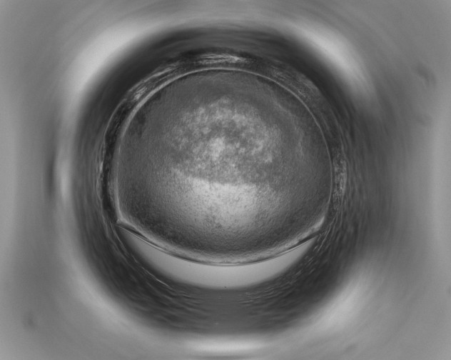 X0000113591151200909181326