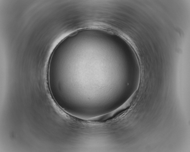 X0000113591152200909181326