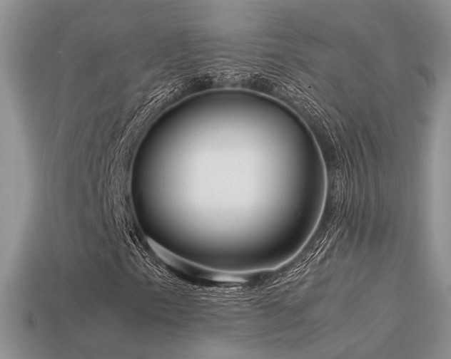 X0000113591153200909181325