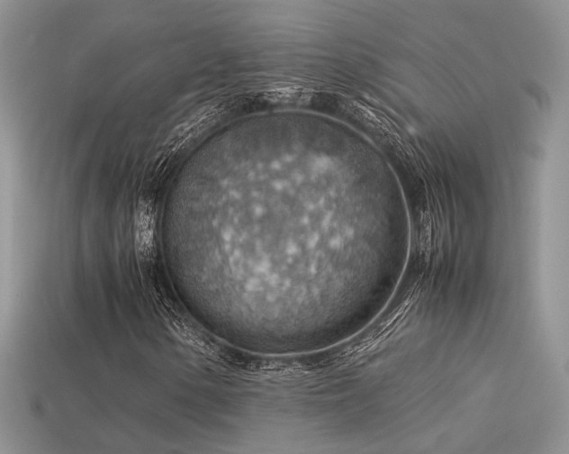 X0000113591154200909181325