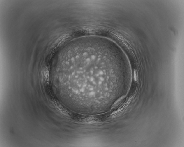 X0000113591155200909181325