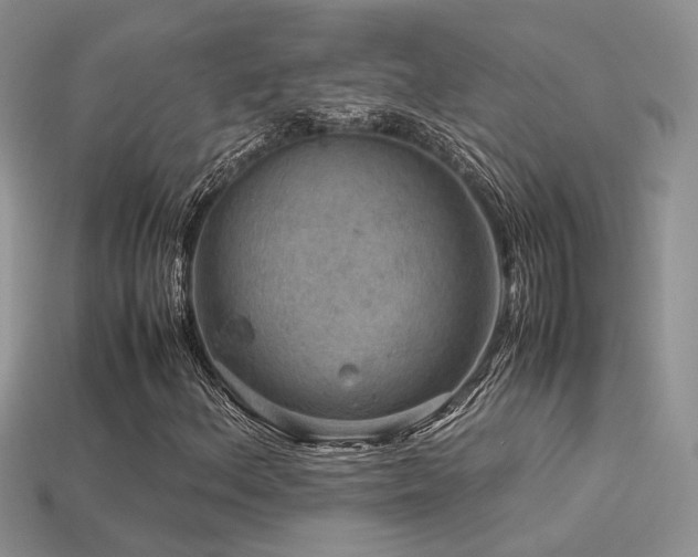 X0000113591156200909181325