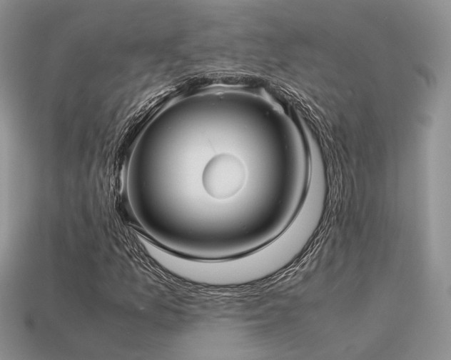 X0000113591157200909181325