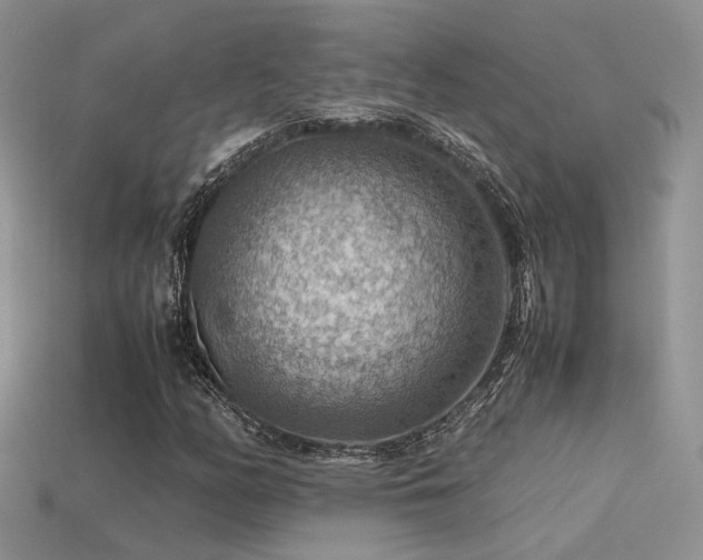 X0000113591158200909181325