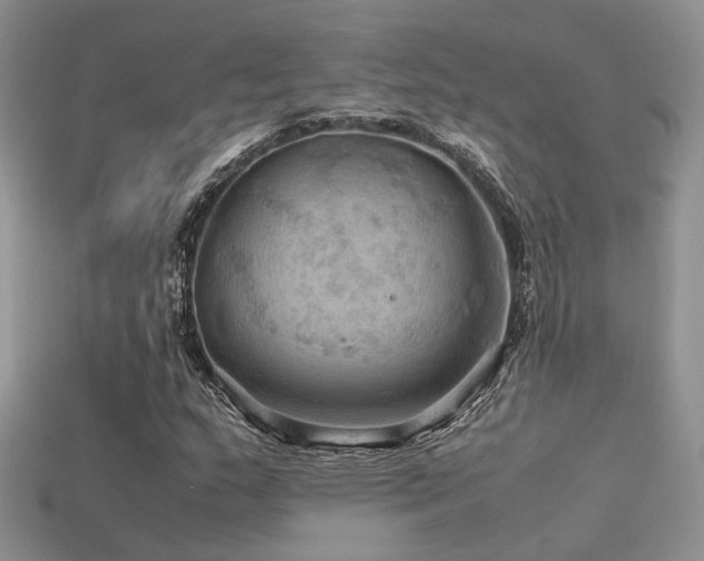 X0000113591159200909181325