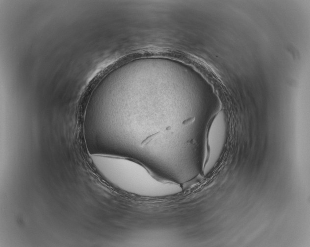 X0000113591160200909181325