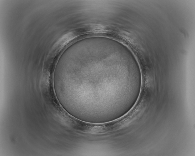 X0000113591161200909181325