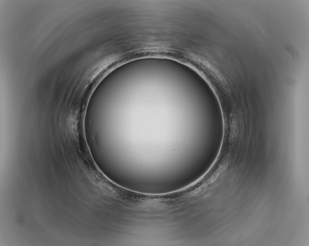 X0000113591162200909181325