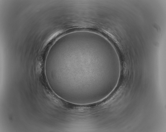 X0000113591163200909181325