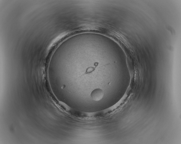 X0000113591164200909181325