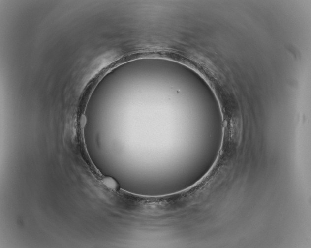 X0000113591165200909181325