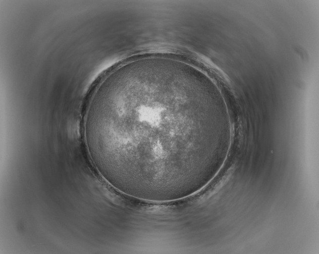 X0000113591166200909181325