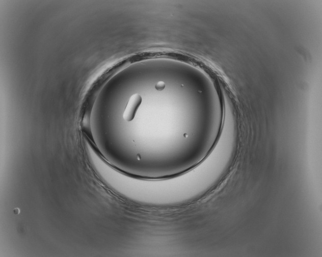 X0000113591167200909181325