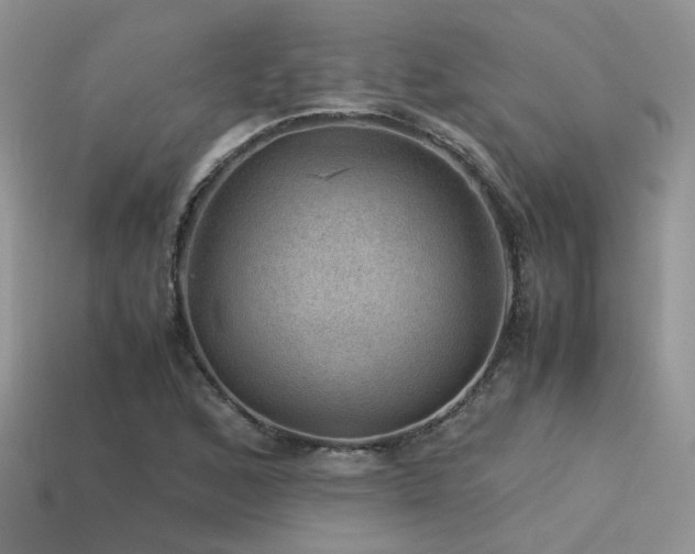 X0000113591168200909181325