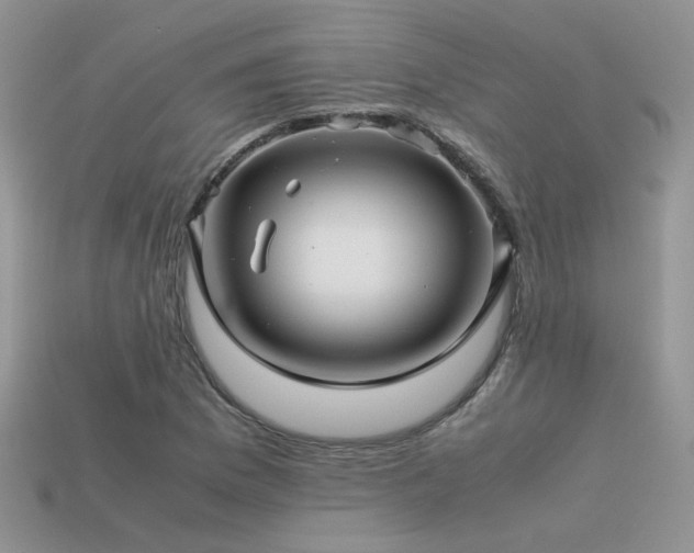 X0000113591169200909181325