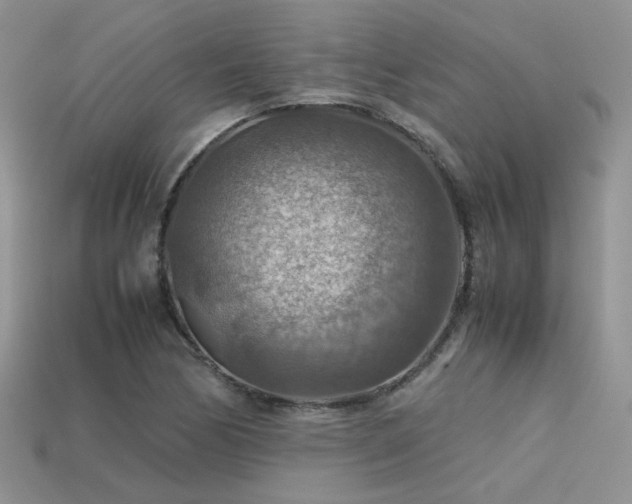 X0000113591170200909181325