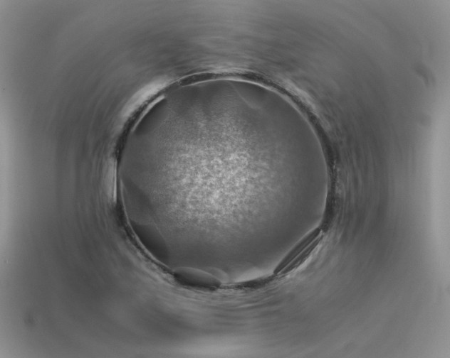 X0000113591171200909181325