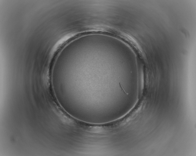 X0000113591172200909181325