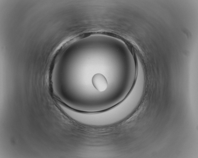 X0000113591173200909181325