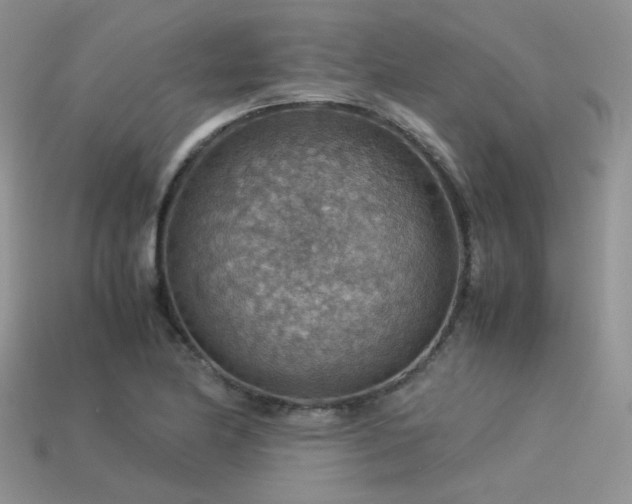 X0000113591174200909181325