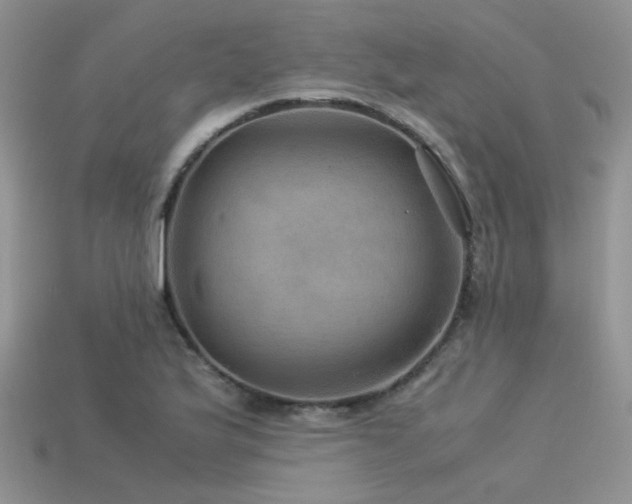 X0000113591175200909181325