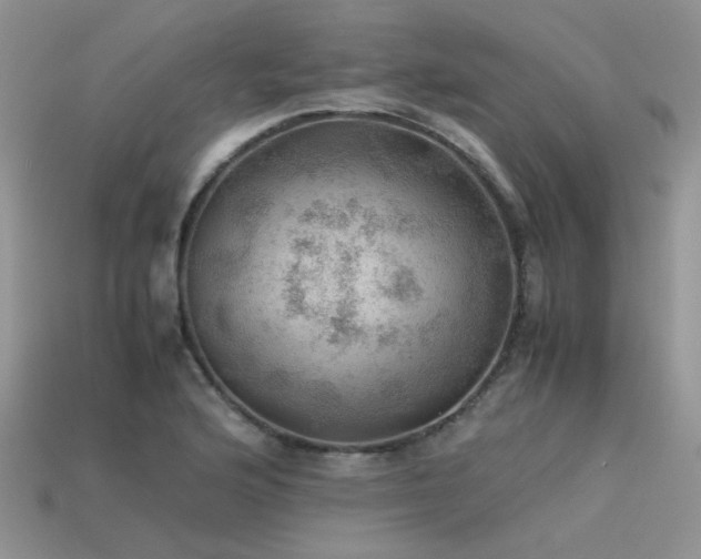 X0000113591176200909181325