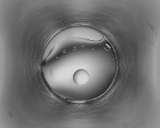 X0000113591177200909181325