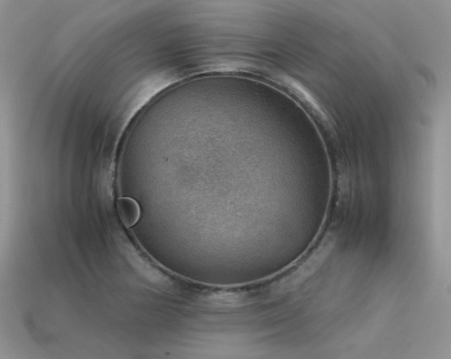 X0000113591178200909181325