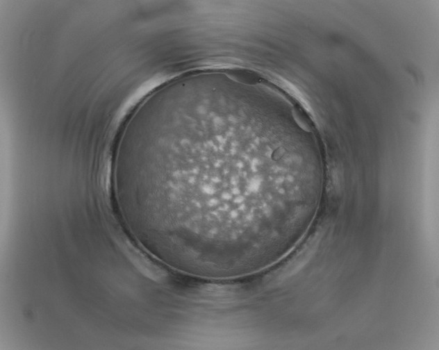 X0000113591179200909181325