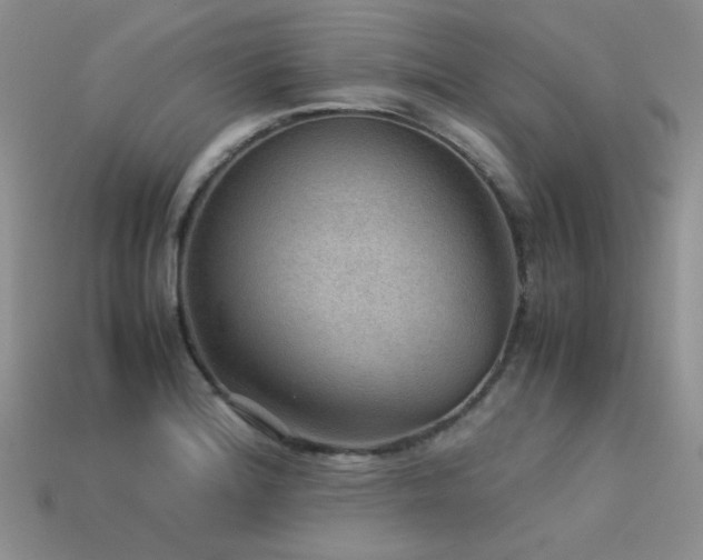 X0000113591180200909181325