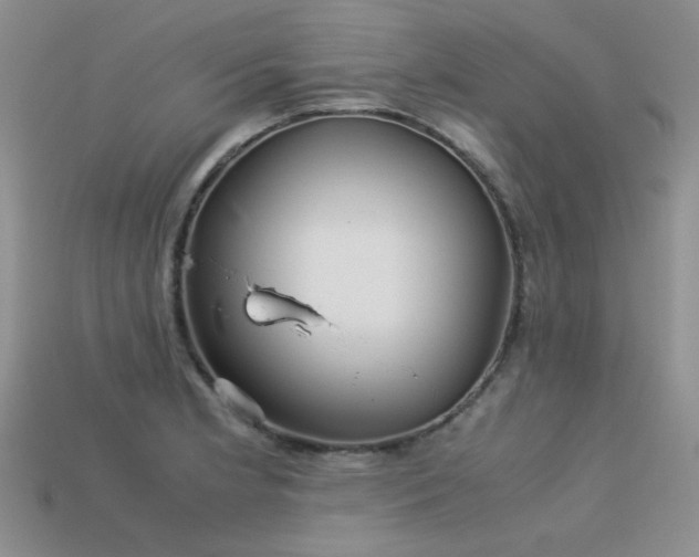 X0000113591181200909181325