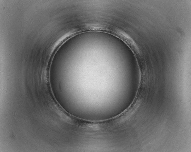 X0000113591182200909181325