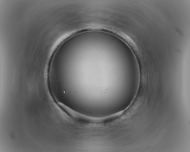 X0000113591183200909181325