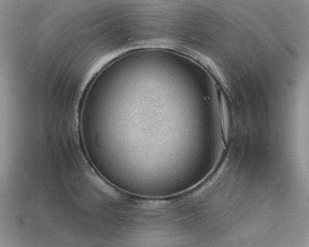 X0000113591184200909181325