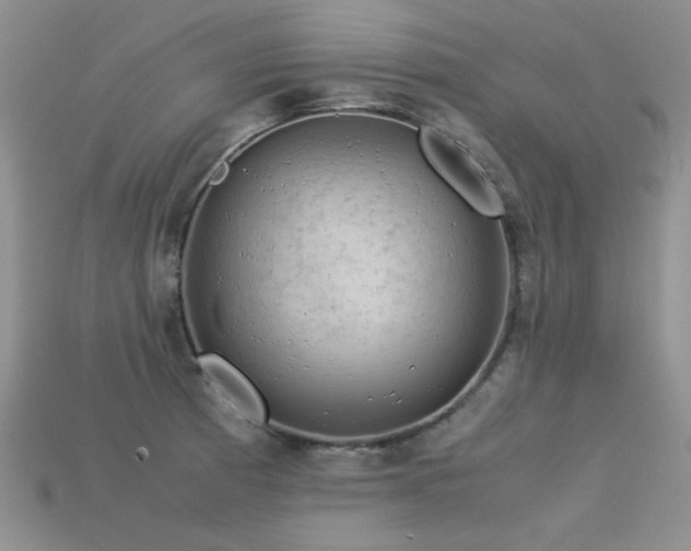 X0000113591185200909181325