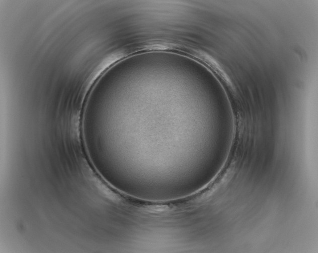 X0000113591186200909181325