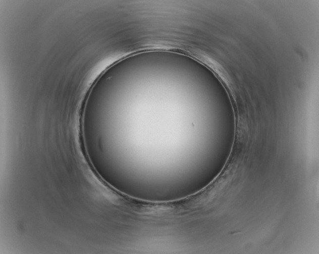 X0000113591187200909181325